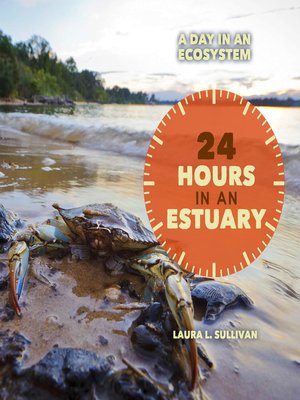 cover image of 24 Hours in an Estuary
